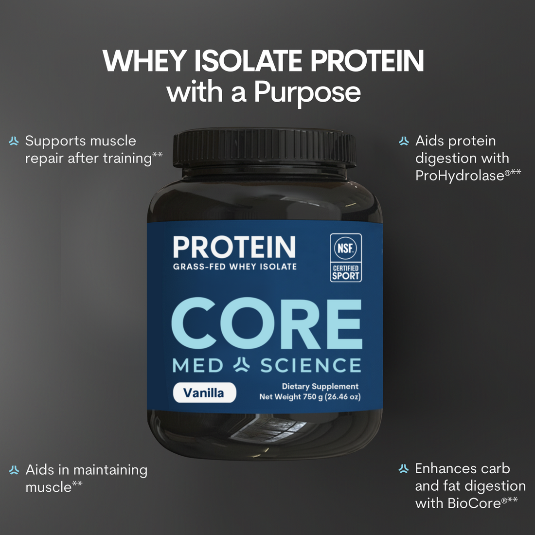 Whey Protein Vanilla Flavor Muscle Growth Recovery Fitness Supplement Powder