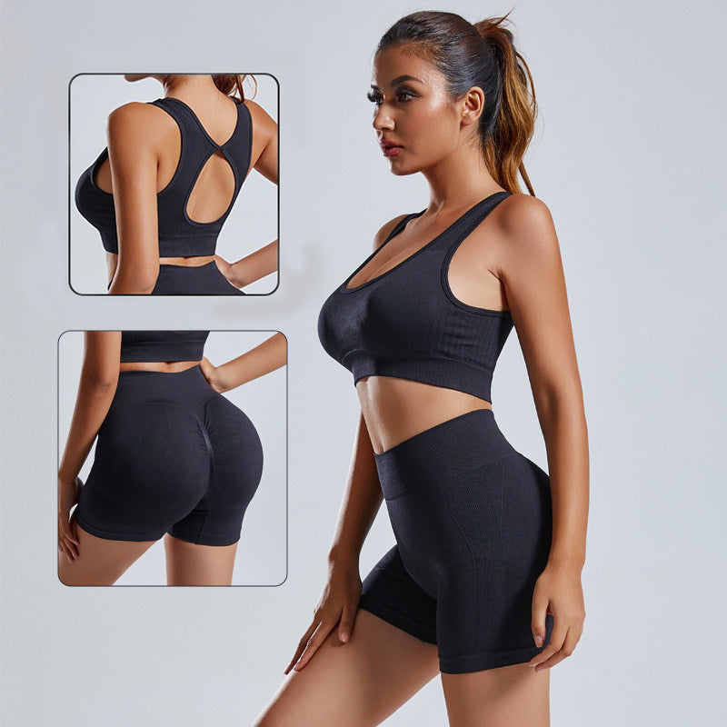 2 Piece Yoga Set Women Vest Shorts Seamless Gym Sportswear