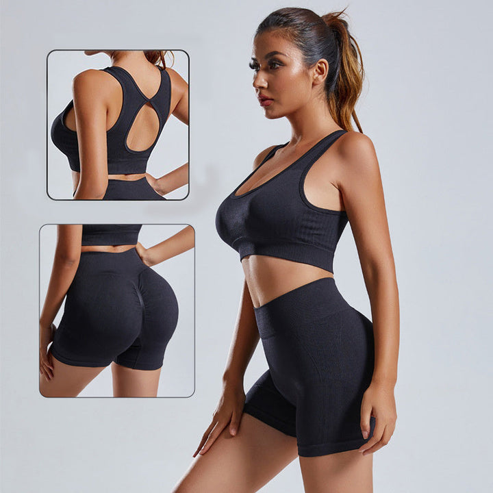 2 Piece Yoga Set Women Vest Shorts Seamless Gym Sportswear