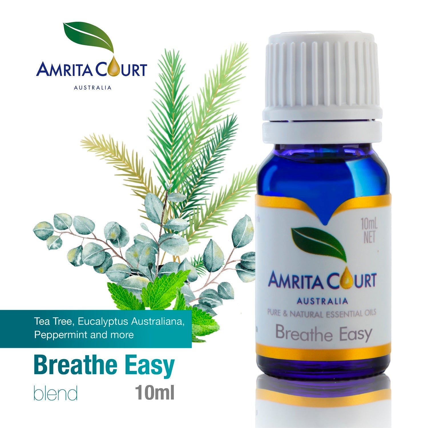 Best Seller Duo Essential Oil Bundle | Breathe + Sleep