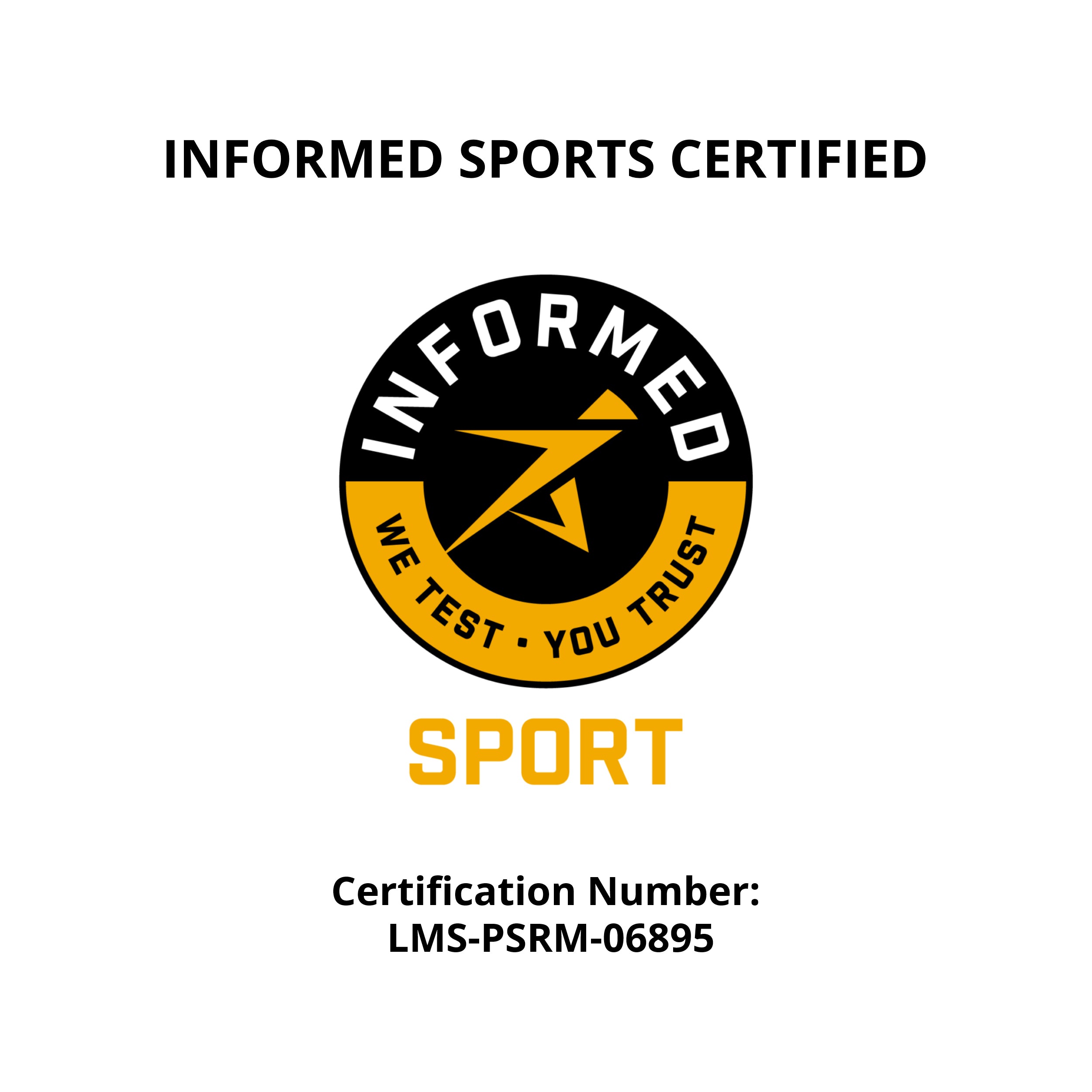 Plant Based Sport Protein Powder Vegan Fitness Muscle Recovery Drink