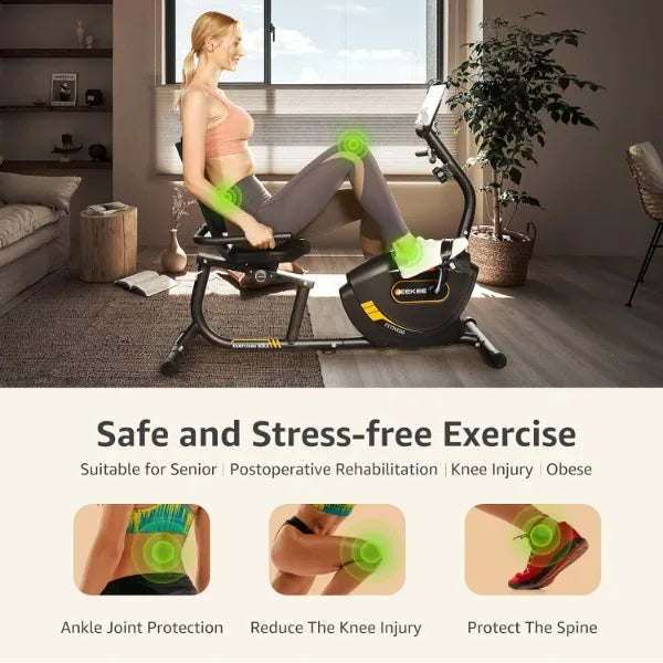 Recumbent Exercise Bike Magnetic Indoor Home Fitness Cycling
