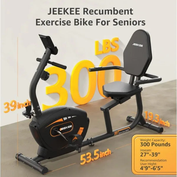 Recumbent Exercise Bike Magnetic Indoor Home Fitness Cycling
