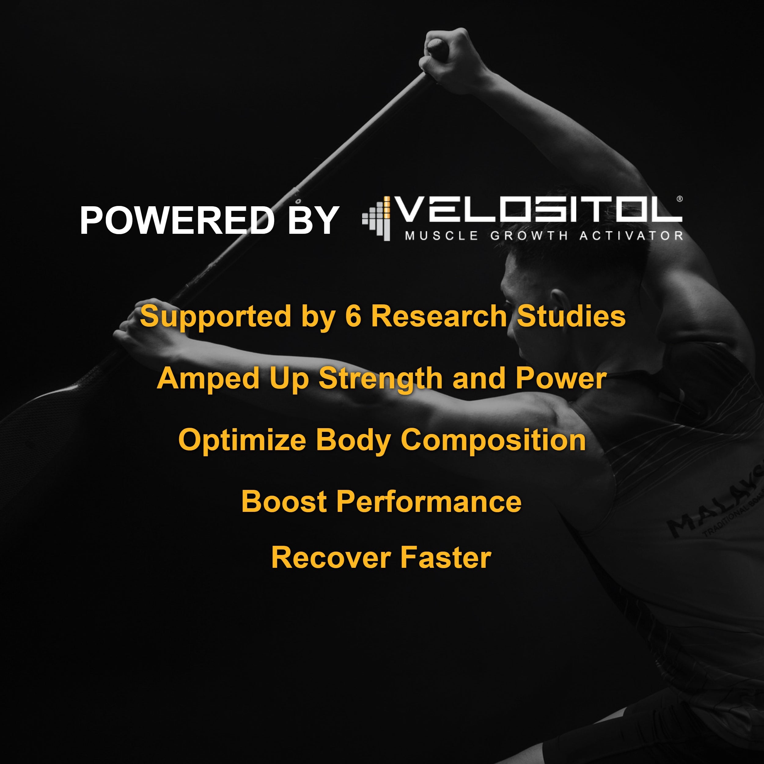 Plant Based Sport Protein Powder Vegan Fitness Muscle Recovery Drink