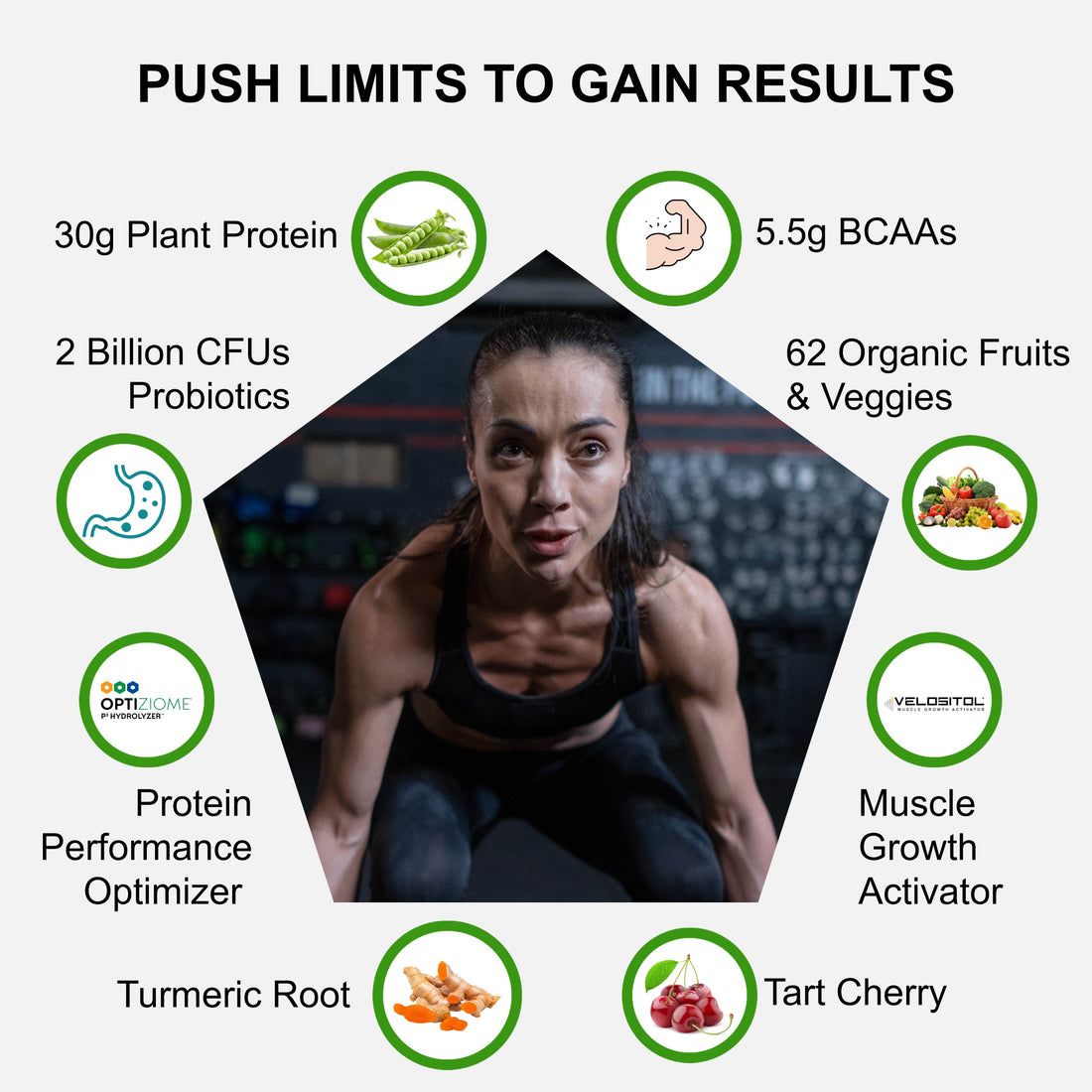 Plant Based Sport Protein Powder Vegan Fitness Muscle Recovery Drink