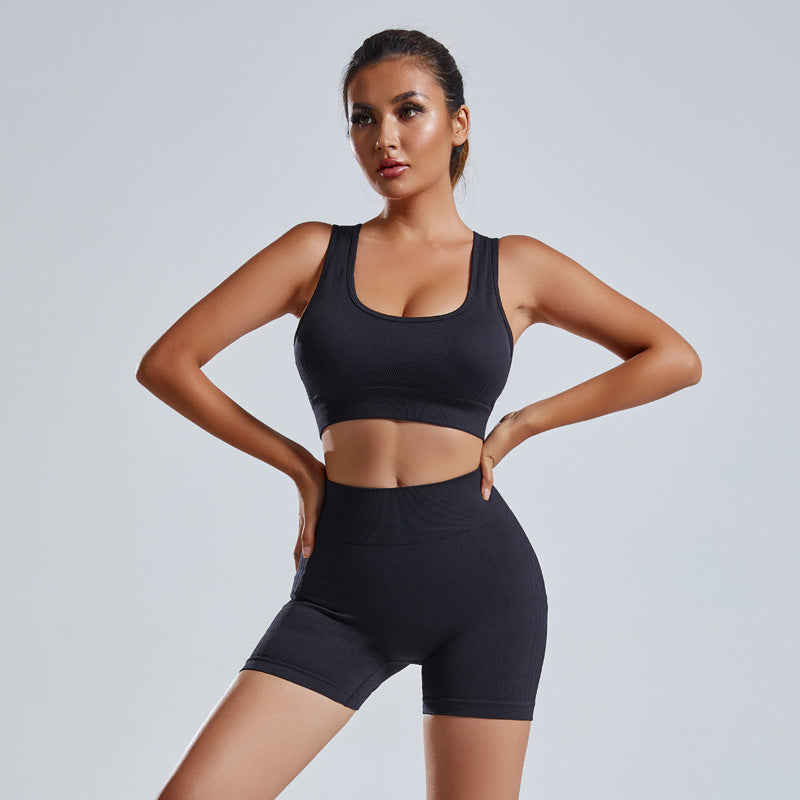 2 Piece Yoga Set Women Vest Shorts Seamless Gym Sportswear